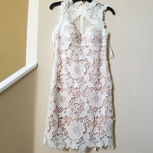 Betsy and Adam Laced Lined Dress